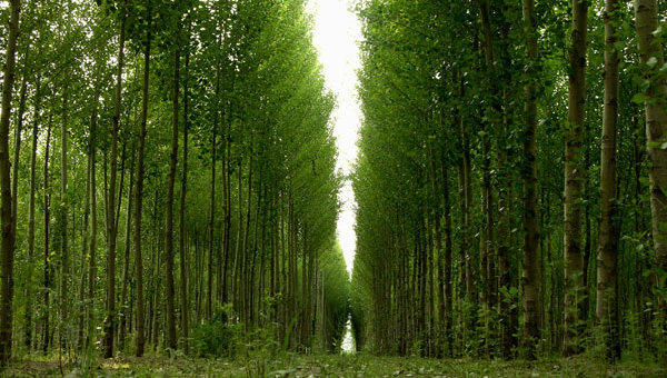 泰達(dá)咨詢2018年業(yè)務(wù)動態(tài)