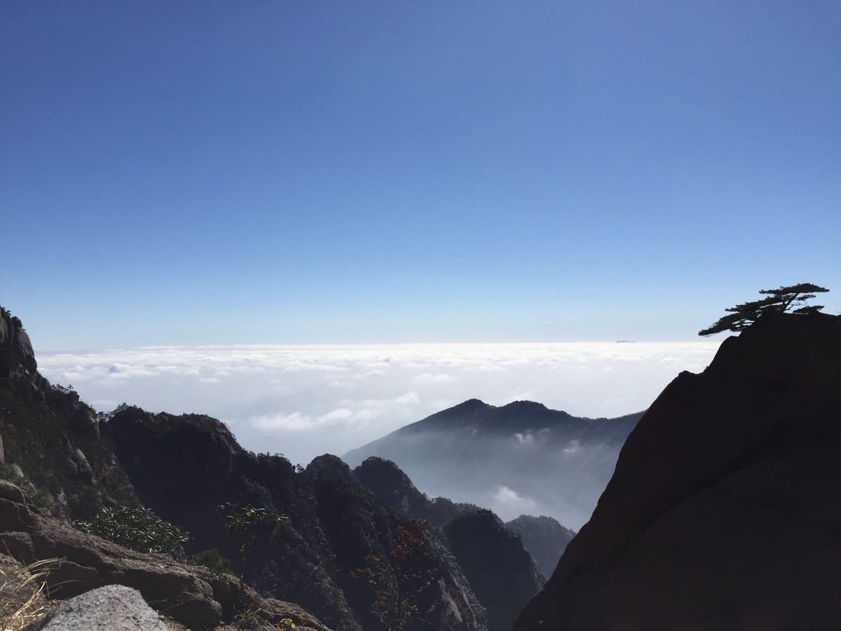 重大消息！今日起招標(biāo)新規(guī)正式實(shí)施，低于100萬的勘察、設(shè)計(jì)、監(jiān)理；低于400萬工程將不再需要招標(biāo)！